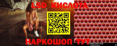бошки Вязьма