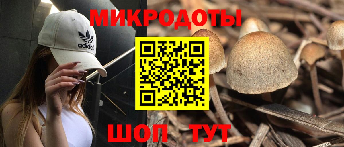 Галлюциногенные грибы Cubensis  Вход с VPN  Великие Луки 